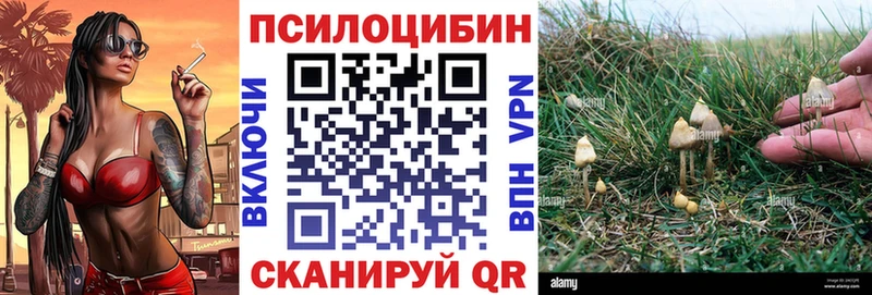 Псилоцибиновые грибы Magic Shrooms МЕГА ссылка Зеленоградск